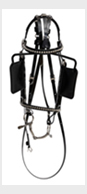 Horse Headstall