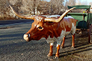 Oxen Yard Art
